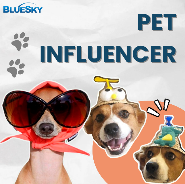 Bí mật đằng sau sức hút của thế giới Pet Influencer